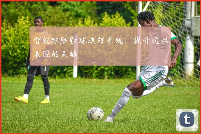 智能球胆触球追踪系统：提升运动表现的关键